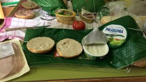 12970418_473007362890538_1000180159_o