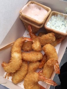 12986563_473115699546371_179051793_o