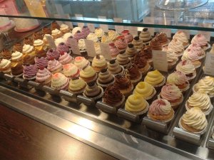 13035414_988934254494172_1627818248_o